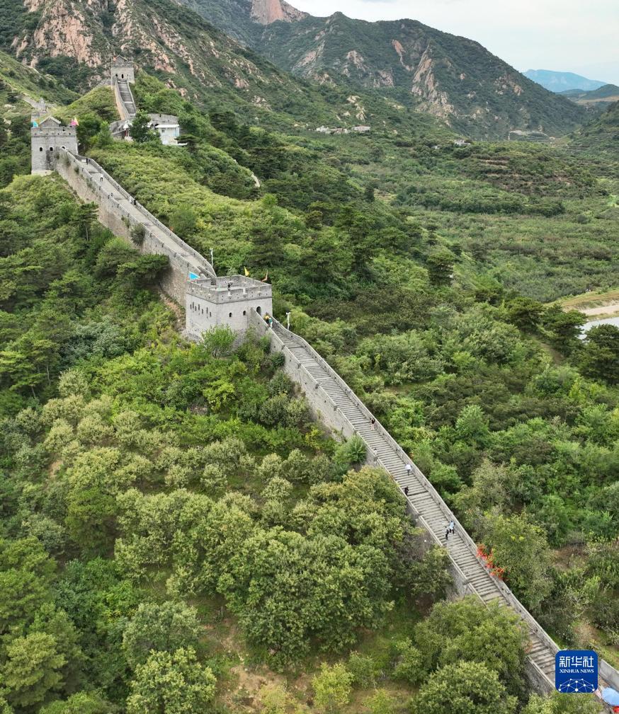 天博国际下载